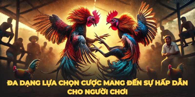 Đa dạng lựa chọn cược mang đến sự hấp dẫn cho người chơi