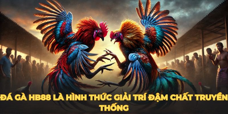 Đá gà HB88 là hình thức giải trí đậm chất truyền thống