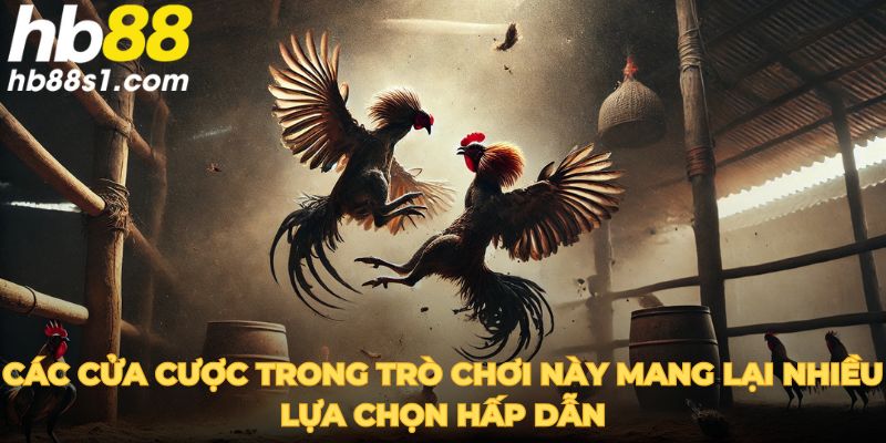 Các cửa cược trong trò chơi này mang lại nhiều lựa chọn hấp dẫn