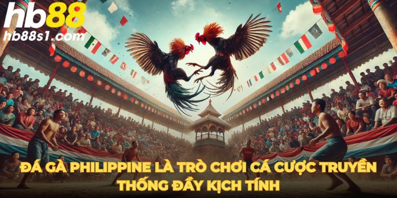 Đá gà Philippine là trò chơi cá cược truyền thống đầy kịch tính