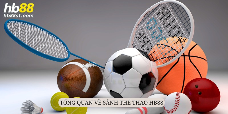 Sân chơi thể thao mạo hiểm top đầu trên thị trường