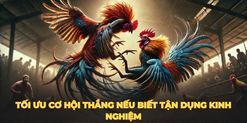 Tối ưu cơ hội thắng nếu biết tận dụng kinh nghiệm