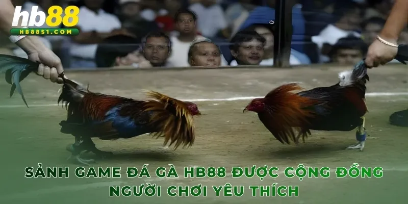 Sảnh game Đá gà HB88 được cộng đồng người chơi yêu thích